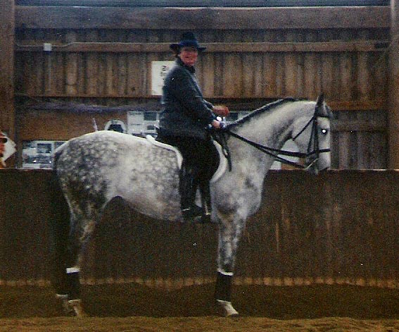 Schöne Stella 1992
